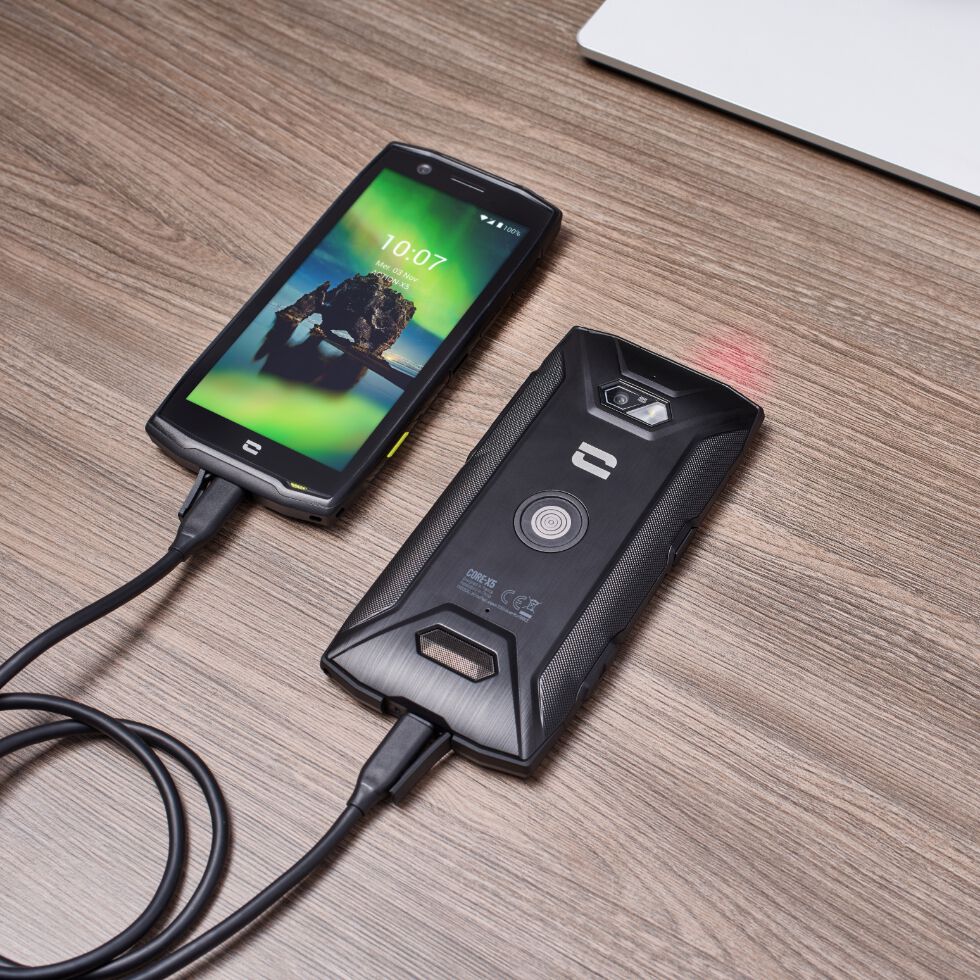 CÂBLE USB-C / USB-C